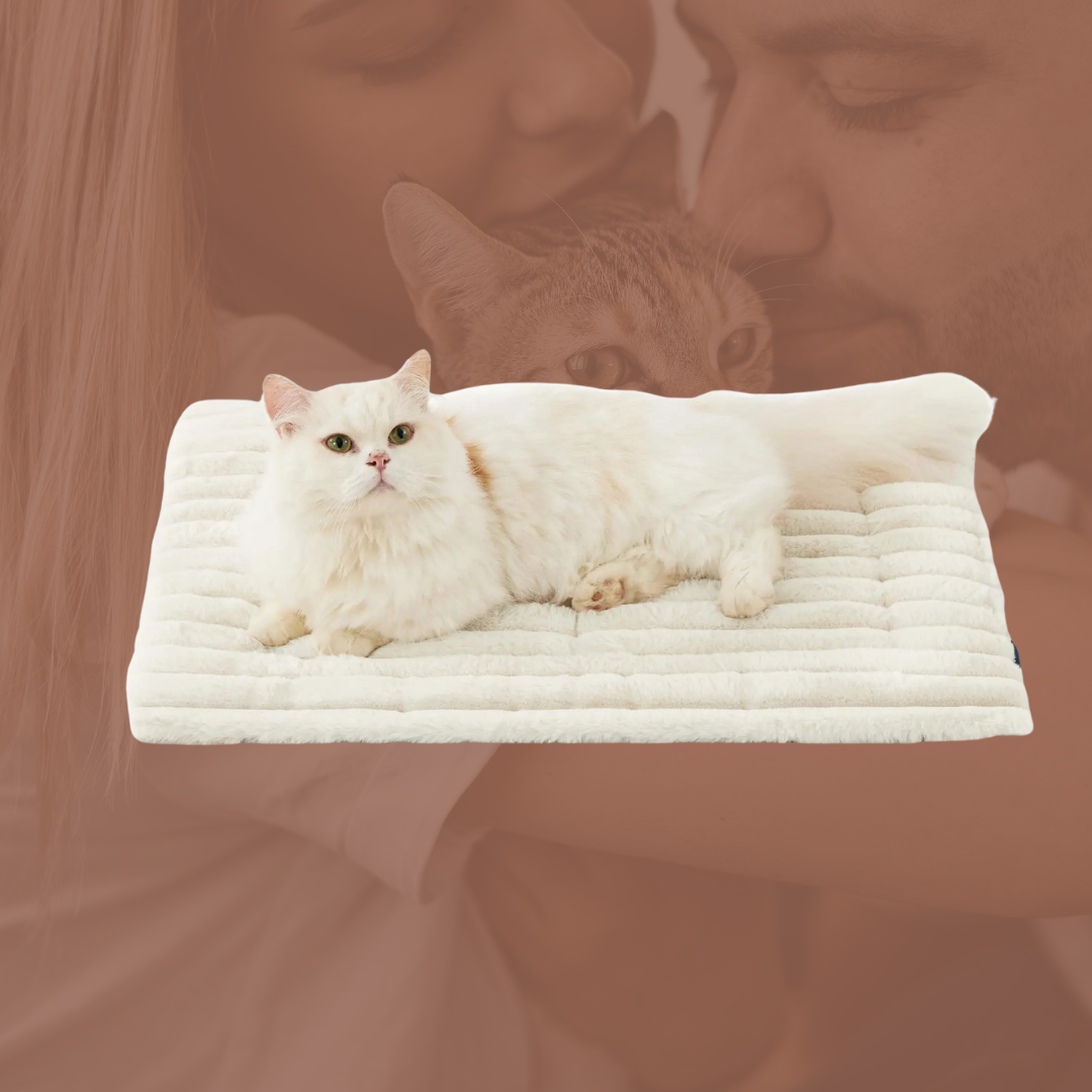 The Cat Cuddly Mat