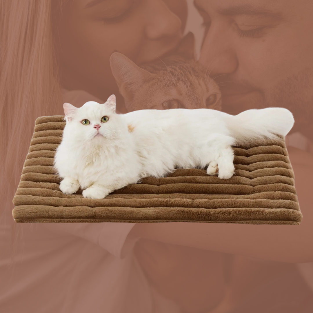 The Cat Cuddly Mat